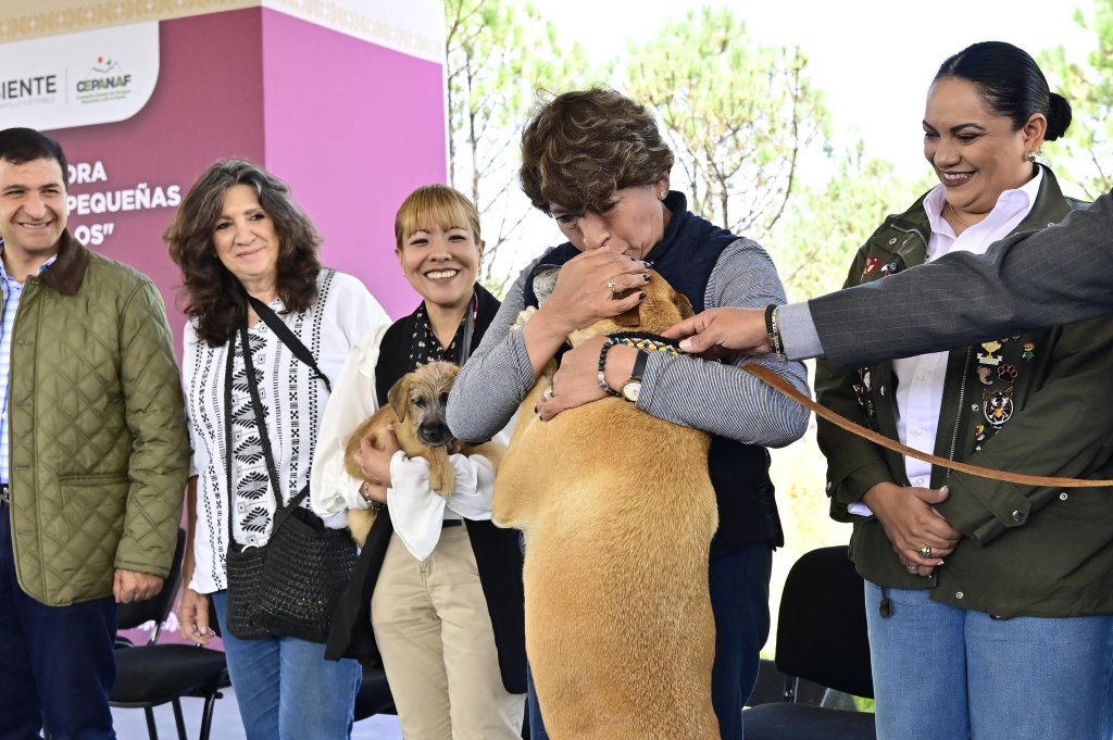 Centro Integral de Atención a Pequeñas Especies