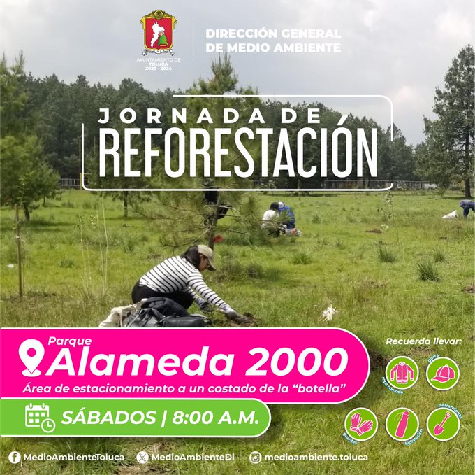 agenda finde Toluca y Metepec