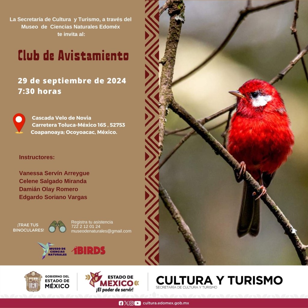 agenda eventos toluca