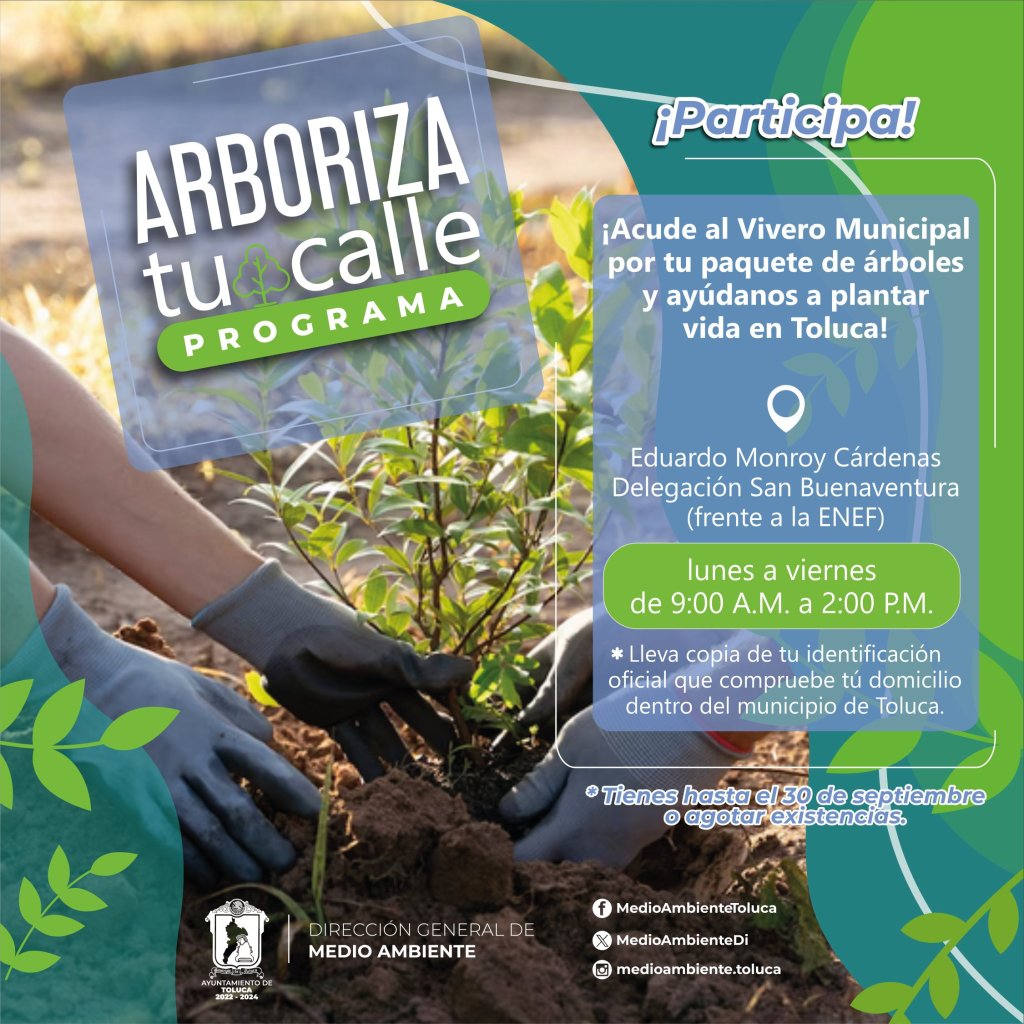 arborizar tu calle en Toluca