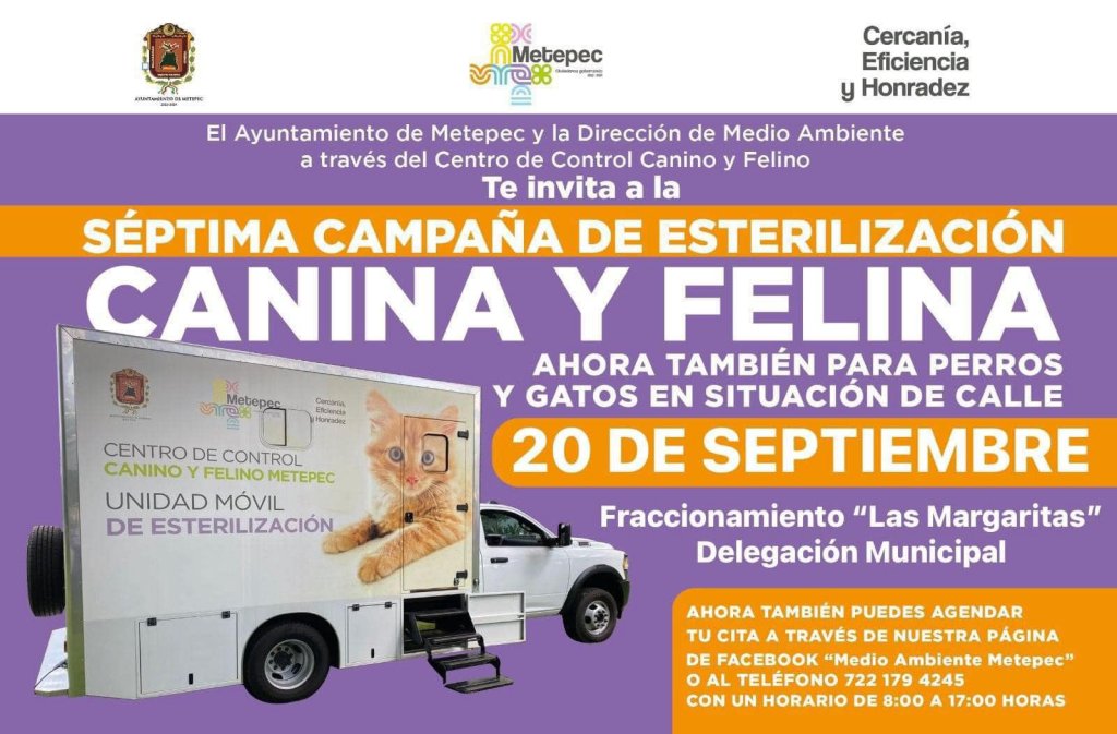 eventos finde en Toluca y Metepec