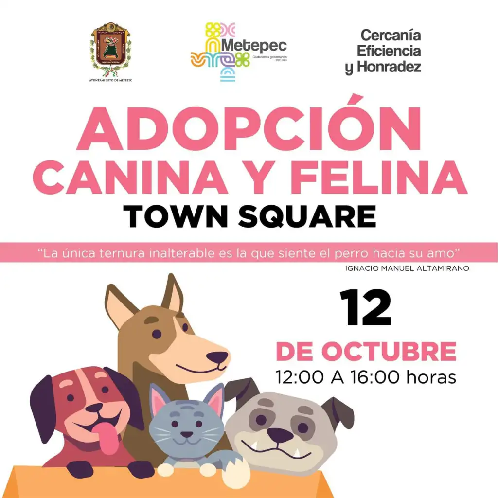 Agenda Cultural en Toluca y Metepec