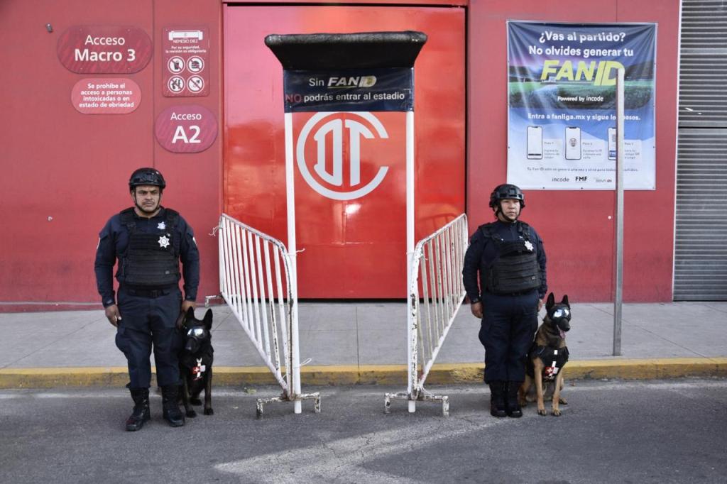 operativo Nemesio Diez