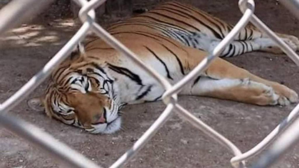 líder Cártel Sinaloa