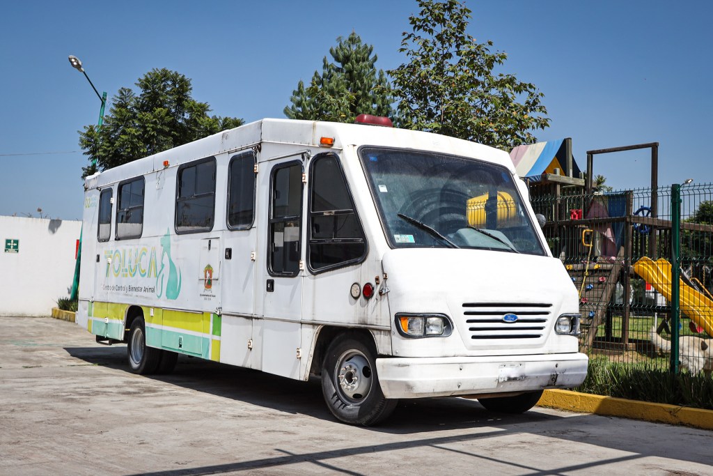 adopción Centro Animal Toluca