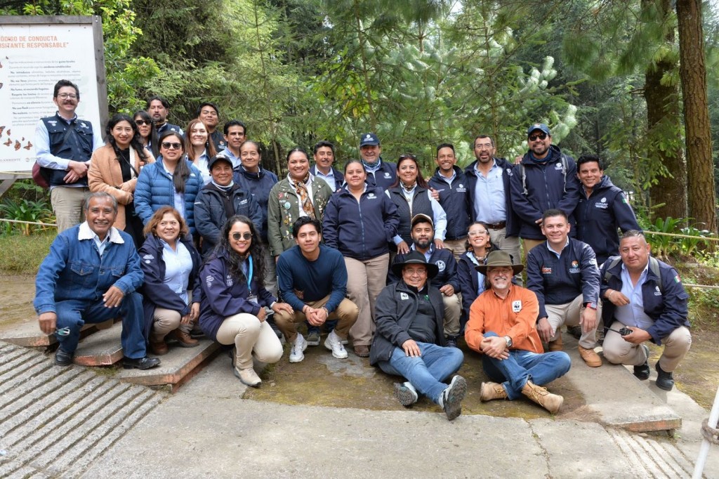 mariposa monarca Edomex