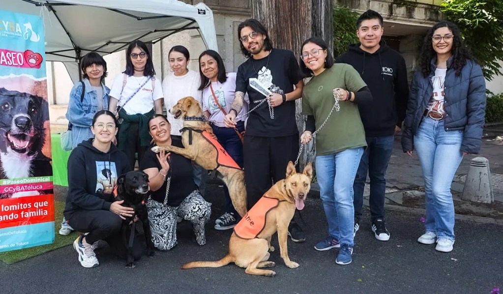 adopción Centro Animal Toluca