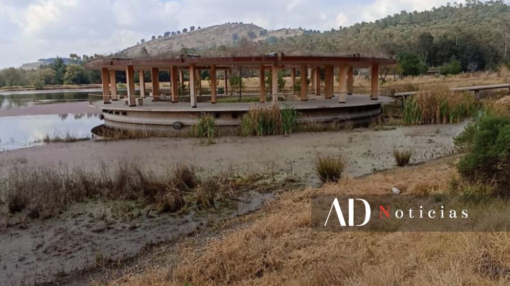 Ajolotario Toluca abandono