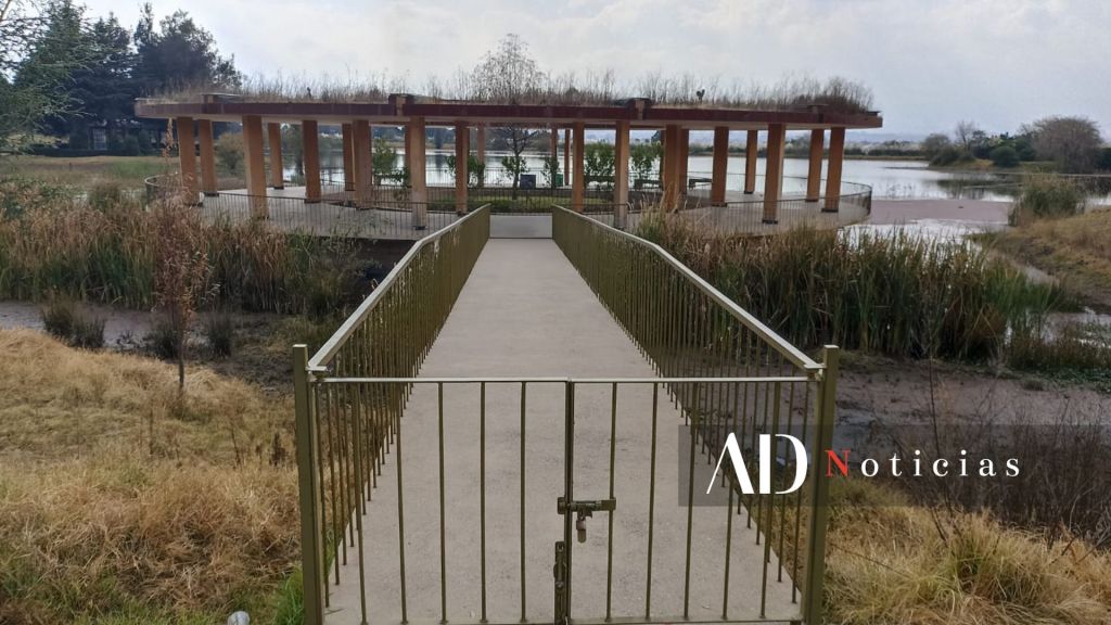 Ajolotario Toluca abandono