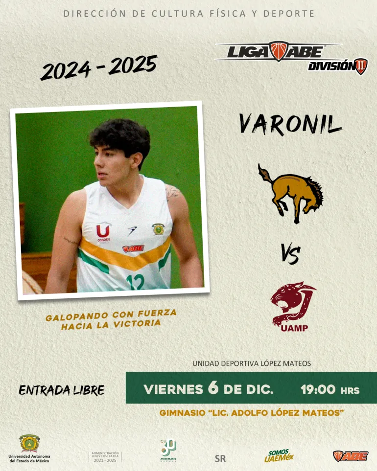 temporada navideña Toluca Metepec