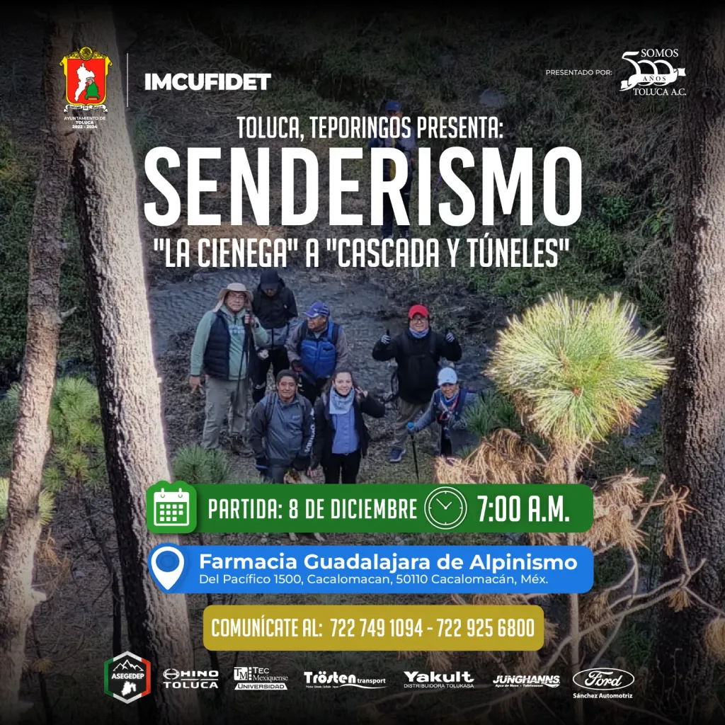 temporada navideña Toluca Metepec
