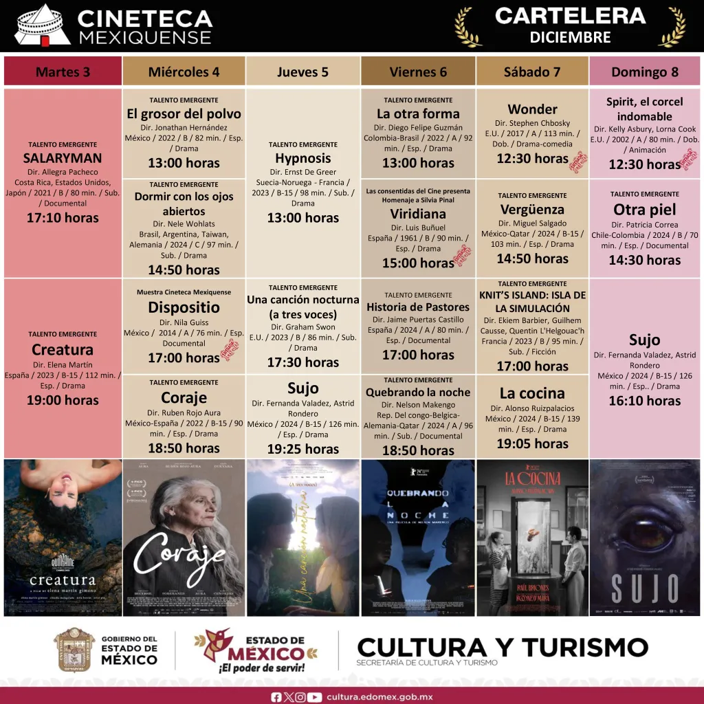 temporada navideña Toluca Metepec