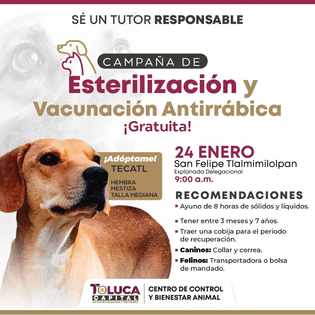 agenda fin de semana Toluca