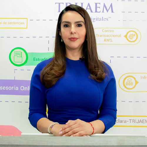 los-mismos-eleccion-judicial-edomex