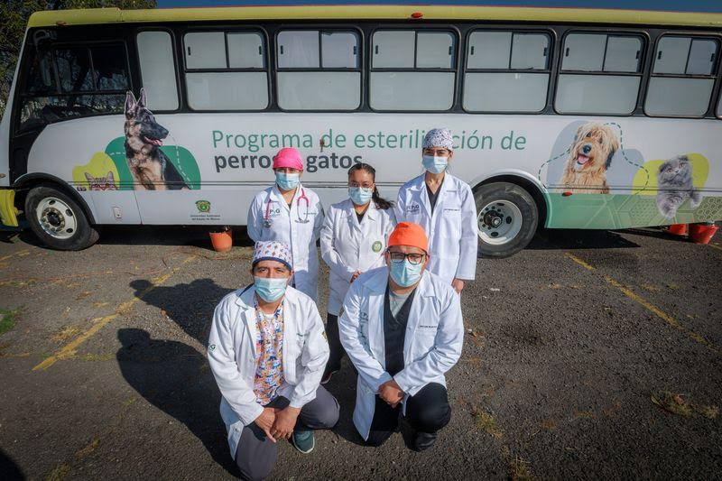 donde-esterilizar-lomito-toluca