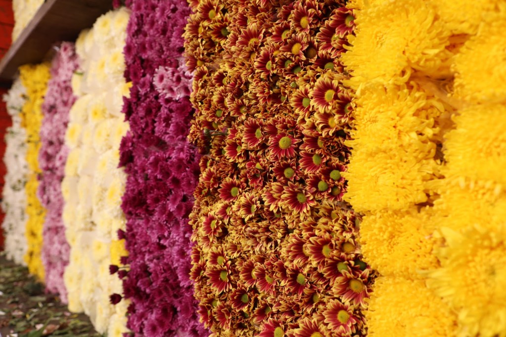 edomex-flores-san-valentín