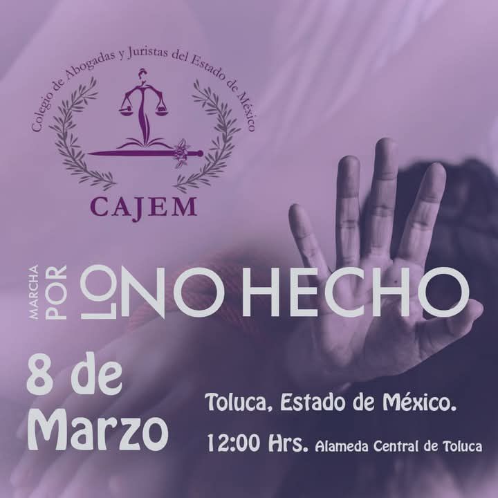 marchas toluca 8 marzo