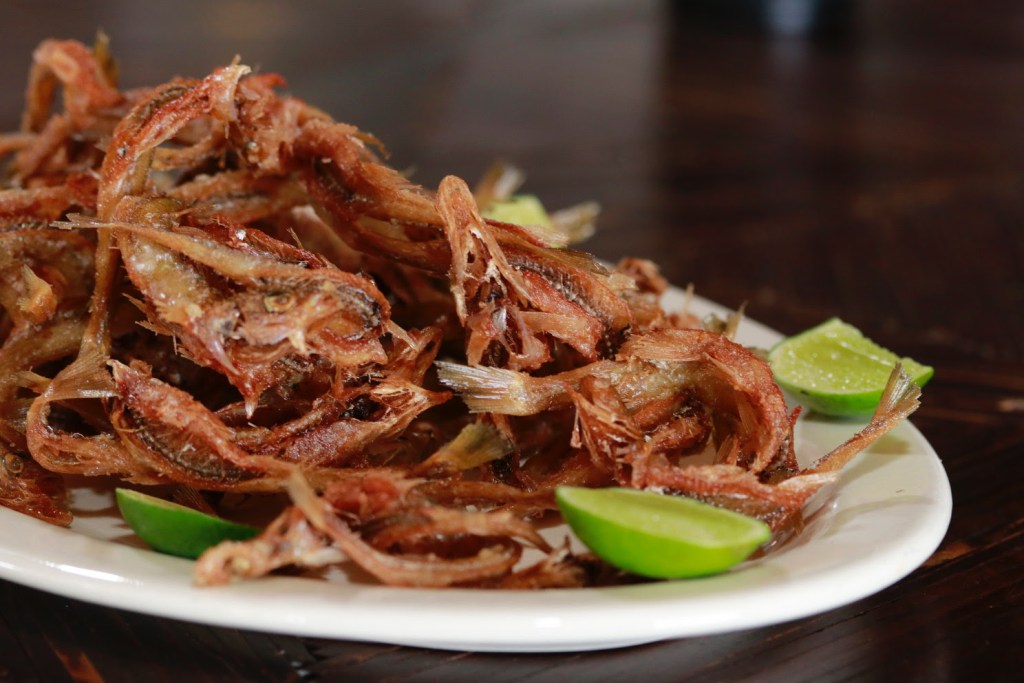 Ruta Esplendor Mazahua