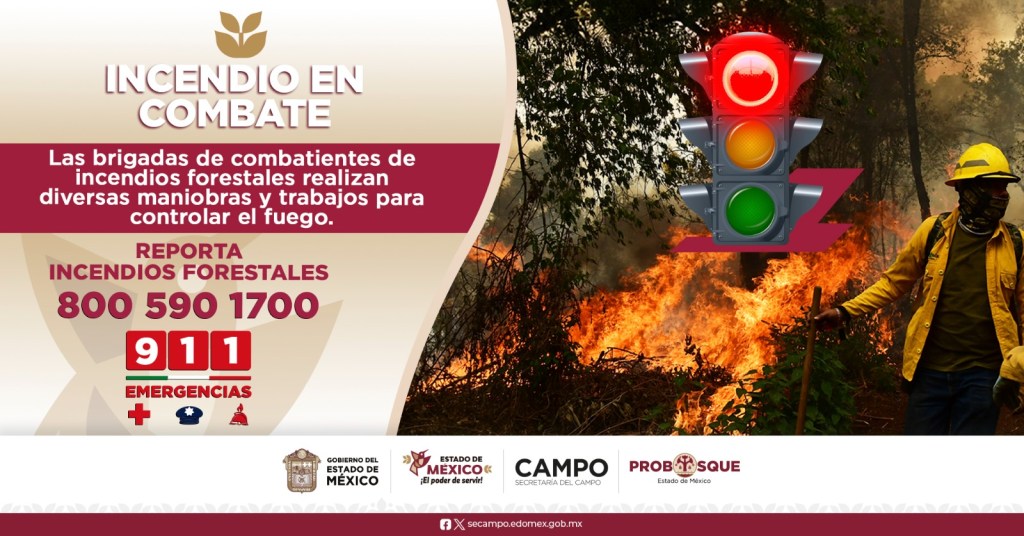 cendios forestales en Edomex
