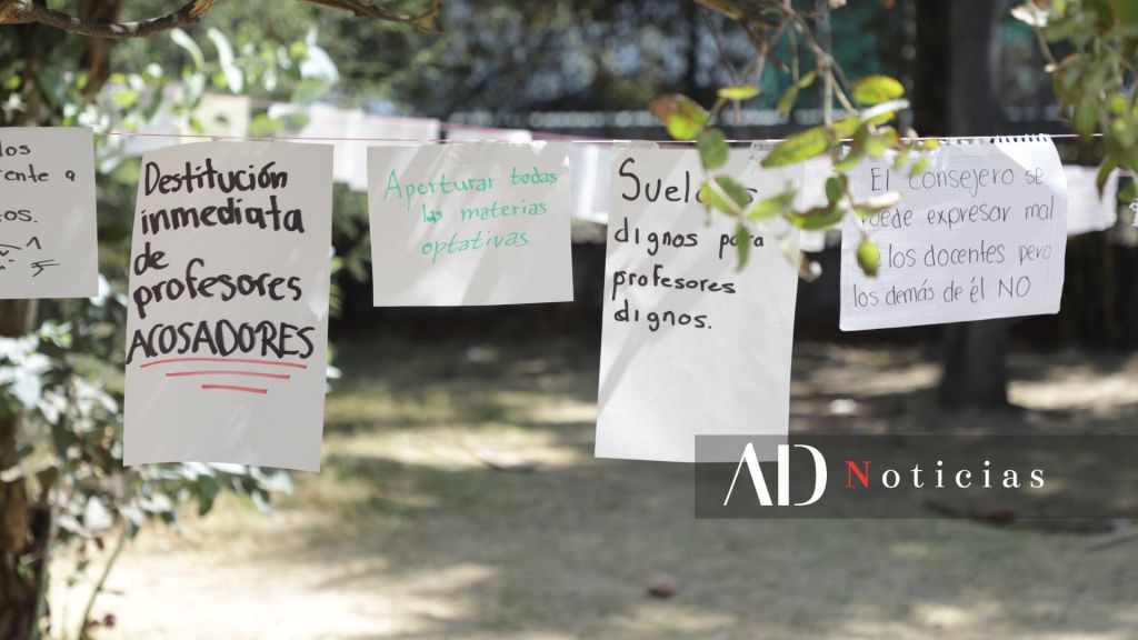 votación Humanidades
