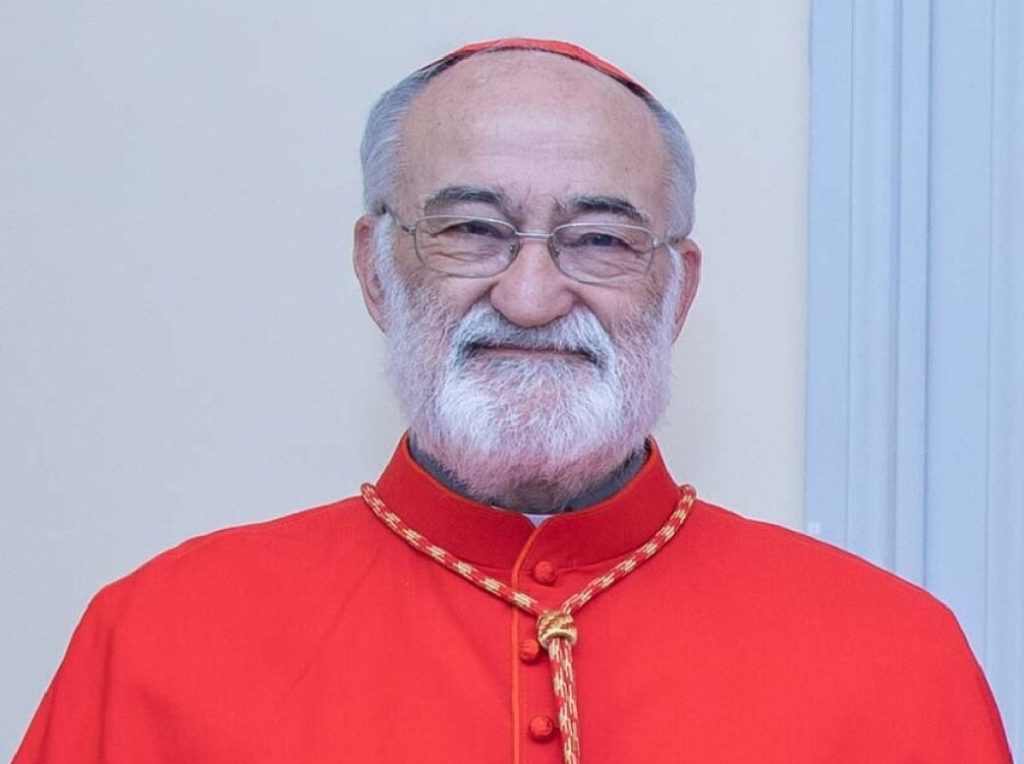 Cardenales para suceder al Papa
