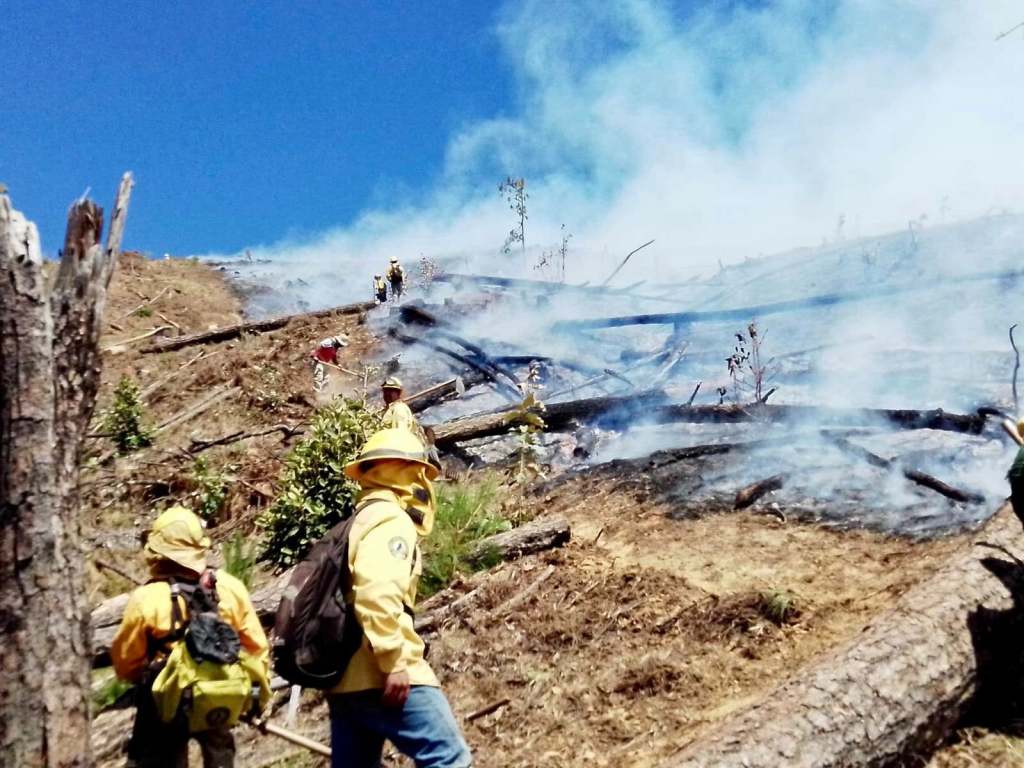 incendios forestales en Edomex