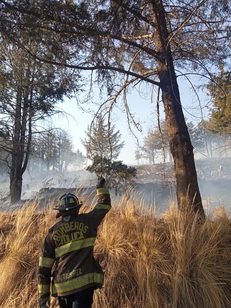 Secuelas incendios forestales