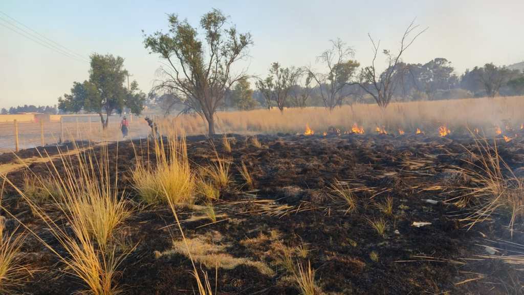 Secuelas incendios forestales