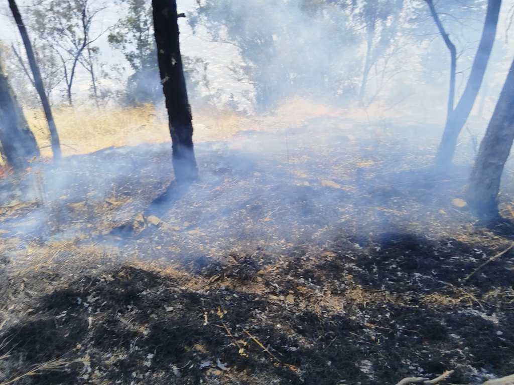Secuelas incendios forestales