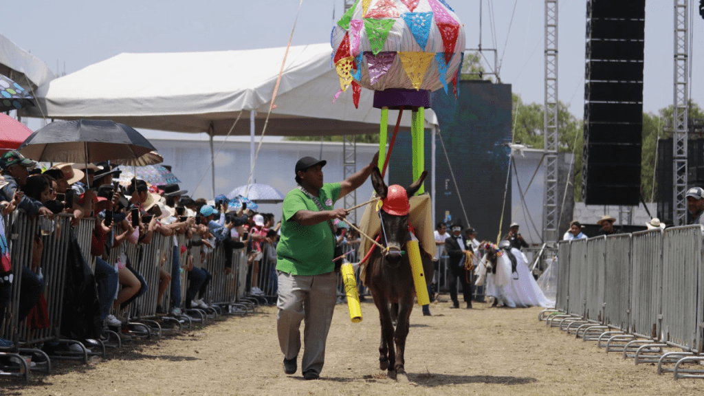 Feria Nacional del Burro Edomex
