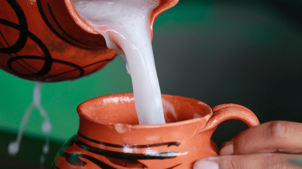 Feria del pulque edomex