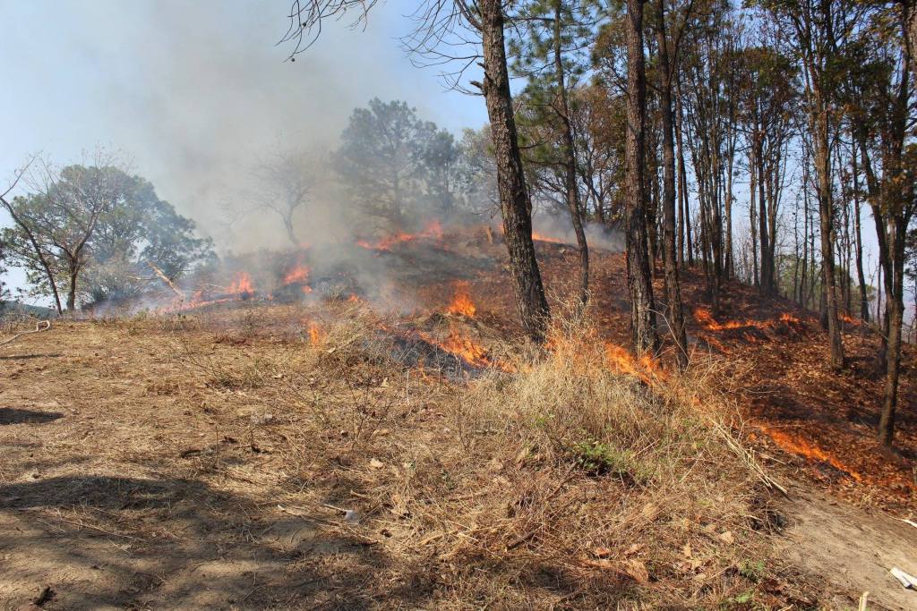 incendios Edomex abril