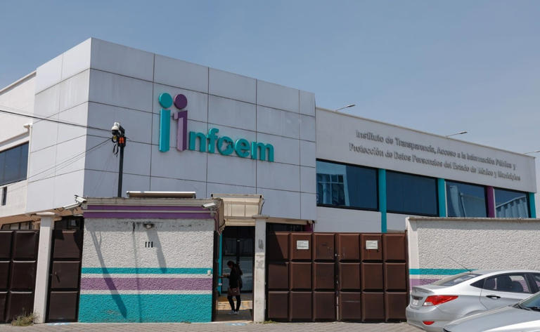 eliminación Infoem