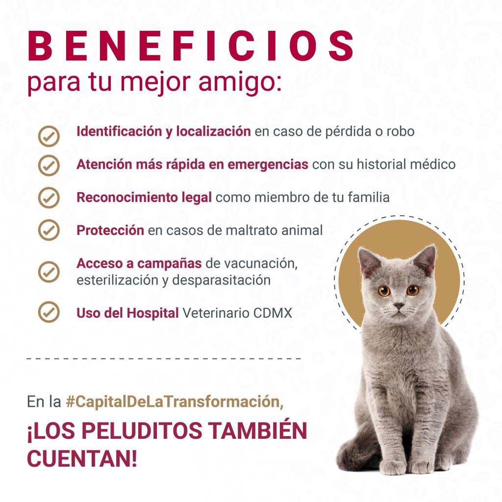 CURP mascota