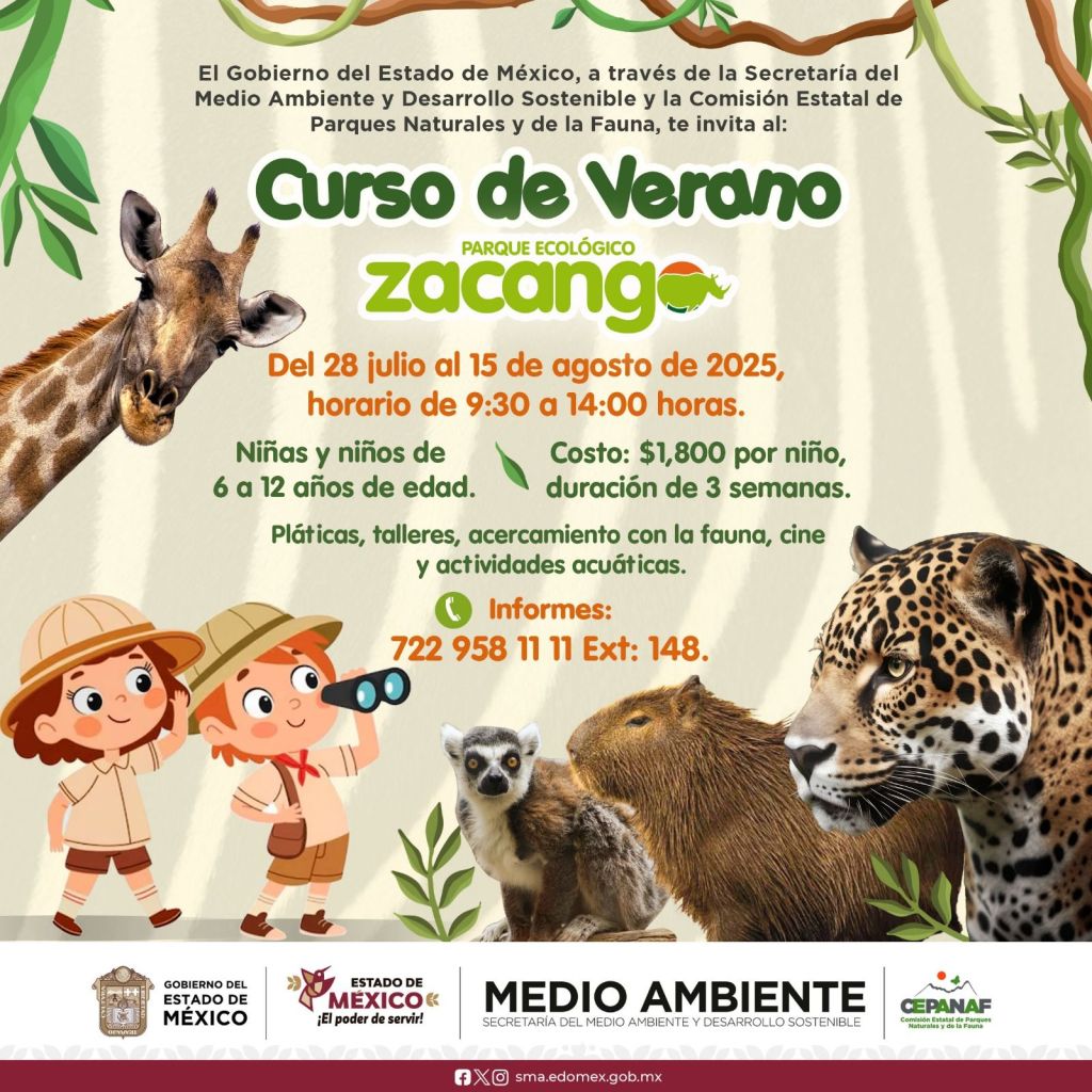 Zacango curso de verano