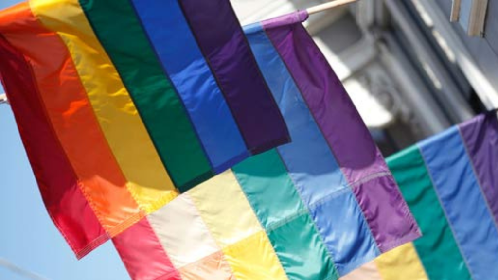 Políticas públicas homofobia