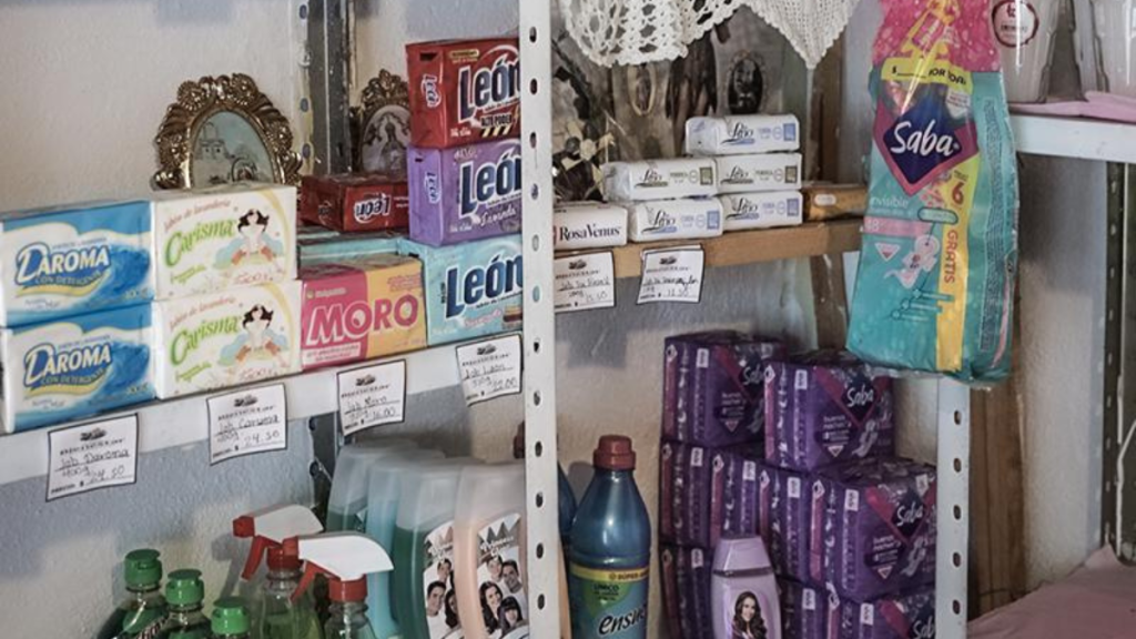 tiendas-del-bienestar-zinacantepec