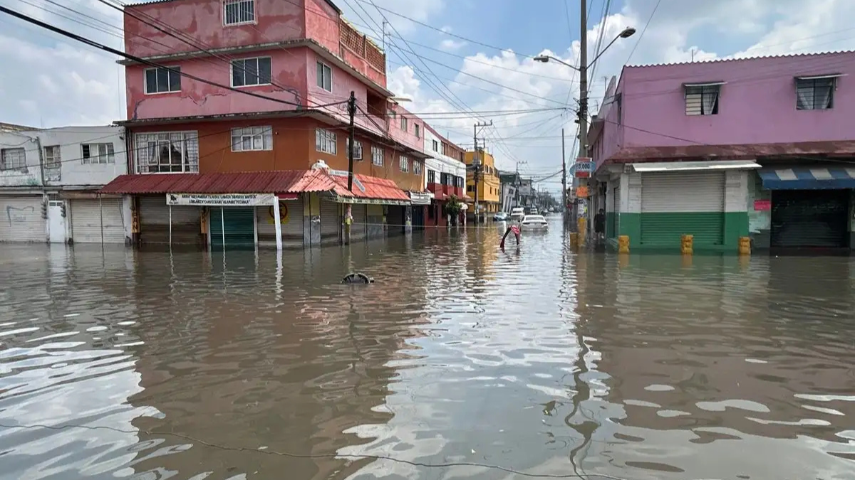 Javier Salinas Cesáreo