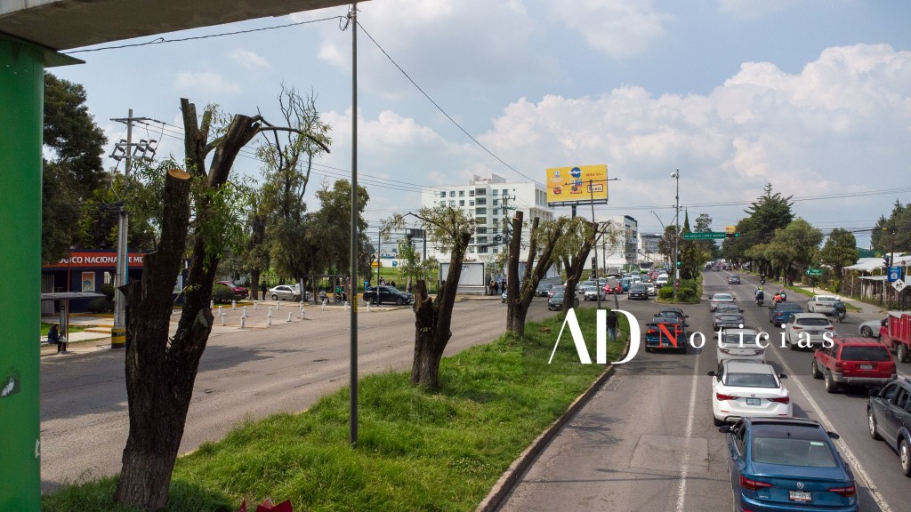 sauces-avenida-tecnologico