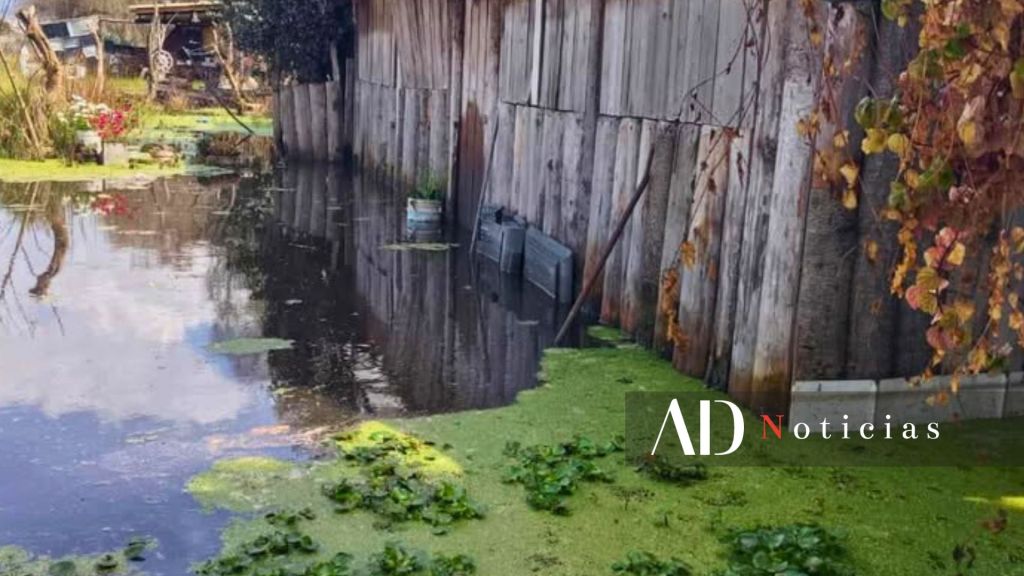 inundaciones-santiago-tianguistenco-rio-san-juan-abandono