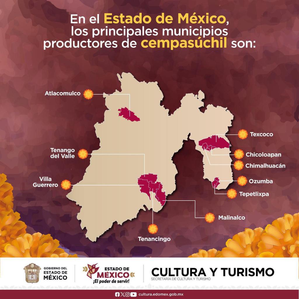 cempasúchil edomex