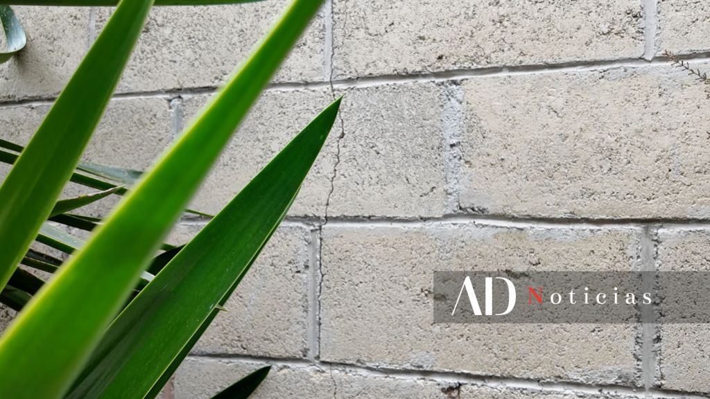 tiradero basura Metepec