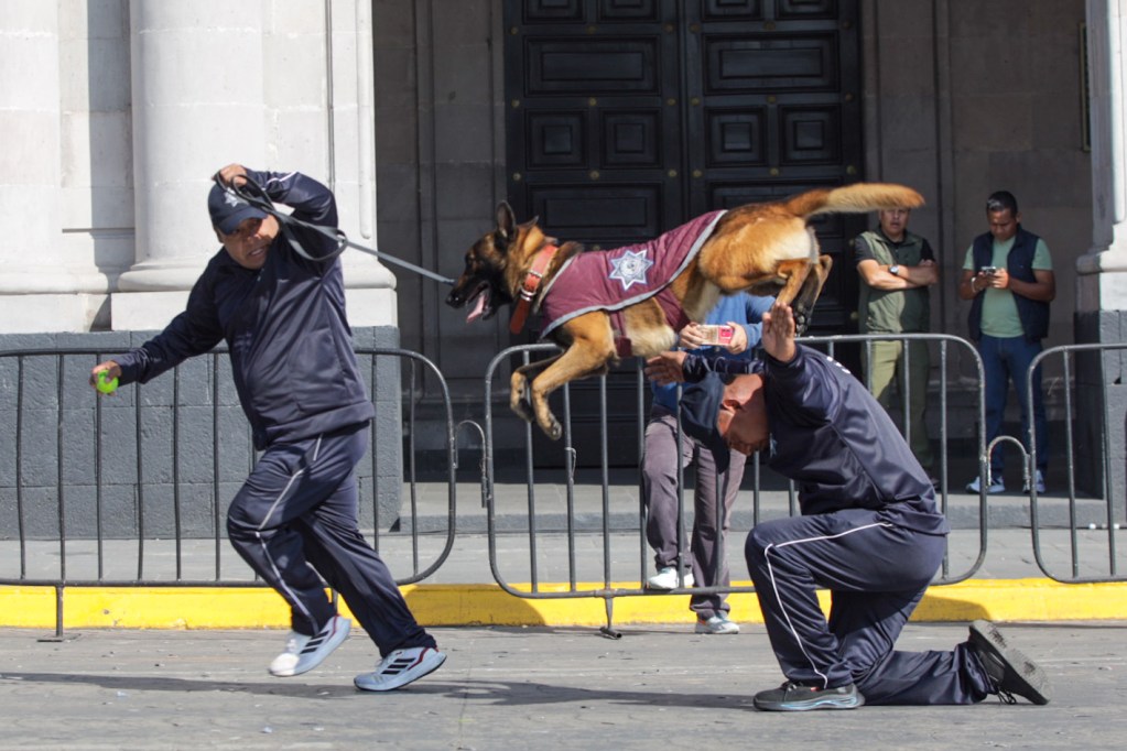 Desfile 20 de noviembre Toluca