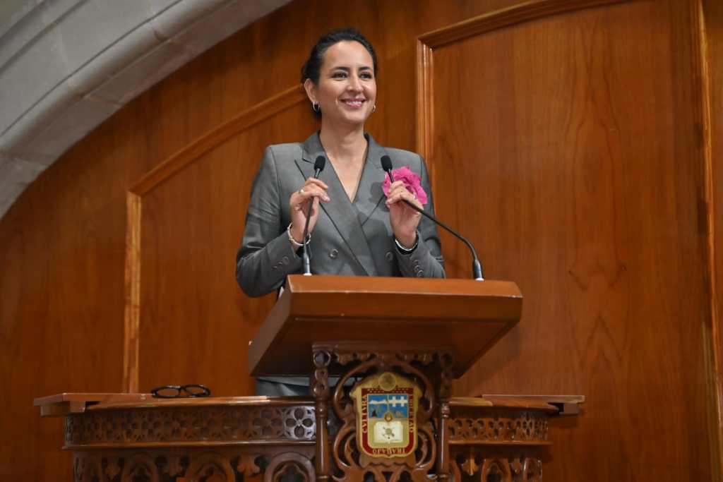 Una diputada de pie en el podium del Congreso, sosteniendo un micrófono, vistiendo un traje gris y con una flor en la mano, sonriente ante el público.