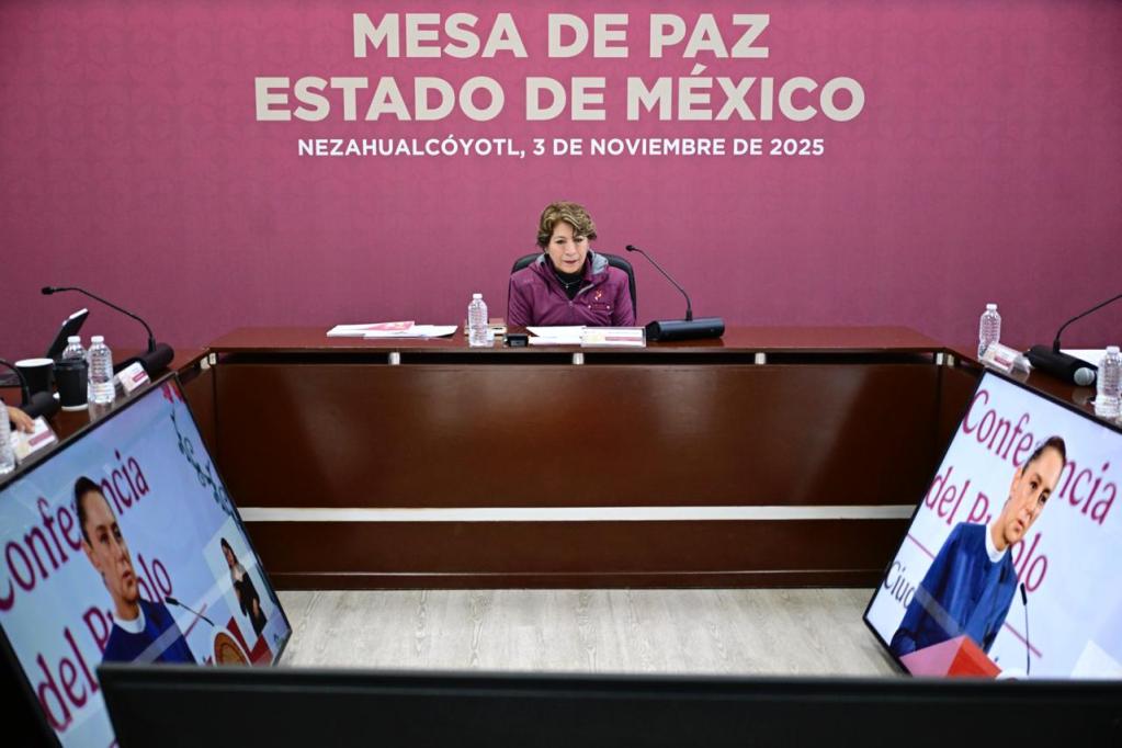 respalda-delfina-estrategia-de-seguridad-sheinbaum