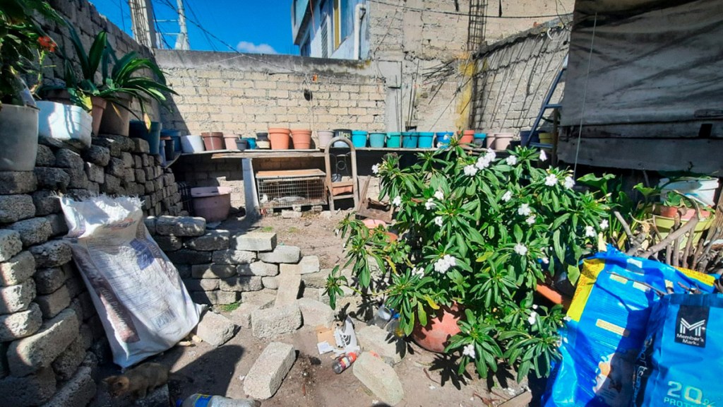 felix zamudio navidad