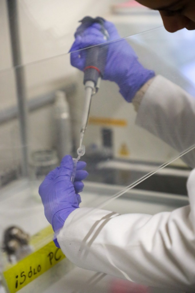 Mano de una persona con guantes morados manipulando un pipeteador en un laboratorio, con un fondo de equipo y una etiqueta visible que dice '¡Solo PC!'.