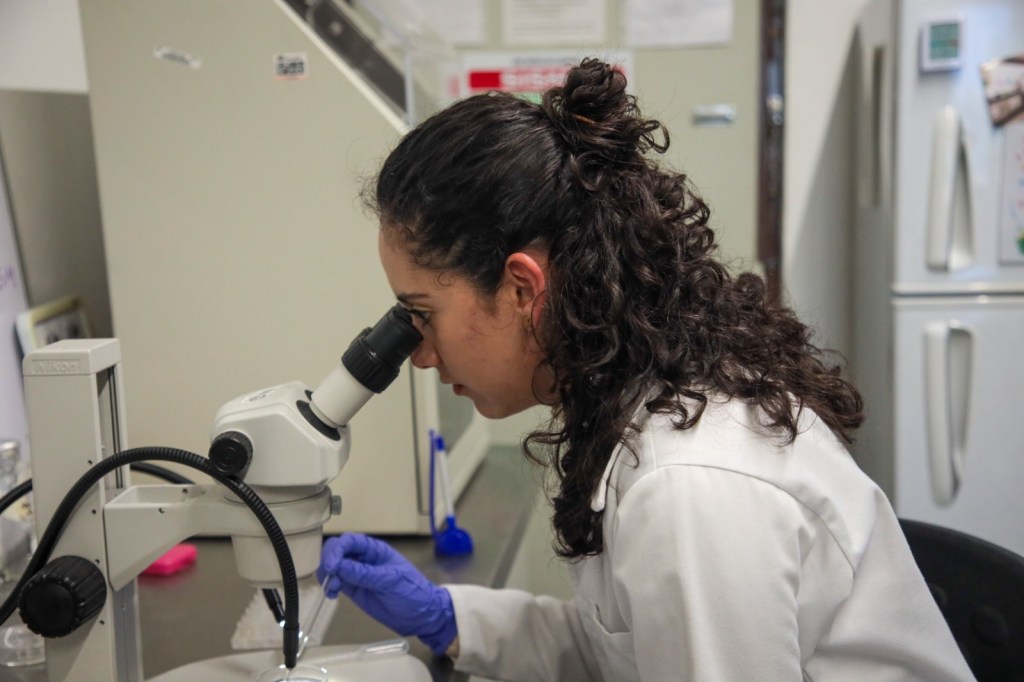 Una mujer con cabello rizado utiliza un microscopio en un laboratorio, vistiendo una bata de laboratorio y guantes de látex.
