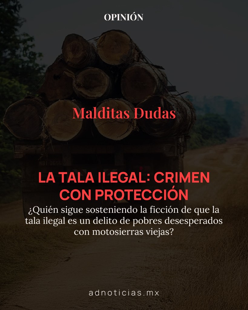 quién está detrás de la tala