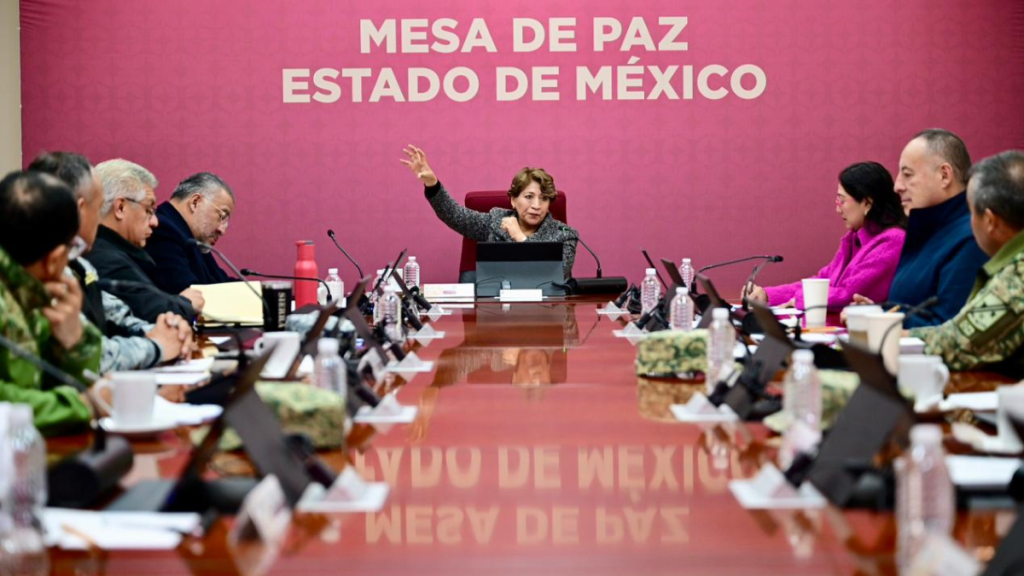 delfina gómez gobierno